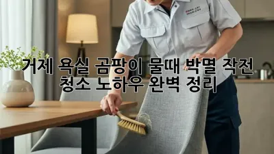 거제 욕실 곰팡이, 물때 박멸 작전! 청소 노하우 완벽 정리