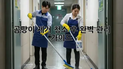 곰팡이 제거 청소 후 완벽 관리 가이드